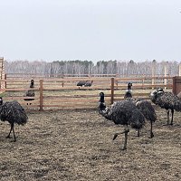 IMG_6141