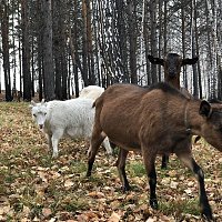 IMG_6168
