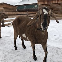 IMG_6770