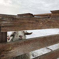 IMG_6772