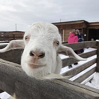 IMG_6783