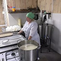 IMG_6901
